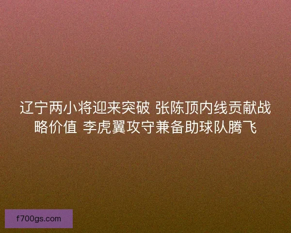 辽宁两小将迎来突破 张陈顶内线贡献战略价值 李虎翼攻守兼备助球队腾飞